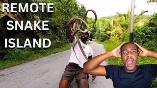 REACTING TO THE REAL TARZANN AS HE EXPLORE A REMOTE SNAKE ISLAND AND HE GOT BITTEN