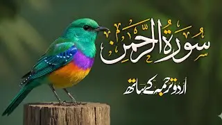 Surah Rahman with Urdu Translation | Heart Touching Recitation
