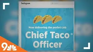 Texas company looking to hire chief taco officer