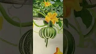 in progress painting Pumpkins #art #painting #pumpkin