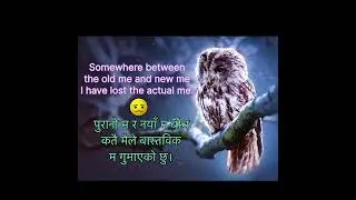 life quotes | best inspirational quotes | nepali quotes | #shorts #ytshorts #explore #motivation