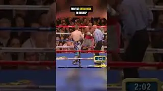 PERFECT CHECK HOOK IN BOXING? #boxing #knockout #floydmayweather