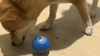 Interactive Dog Treat Ball Dispenser with Motion Sensor and 2 Smart Modes