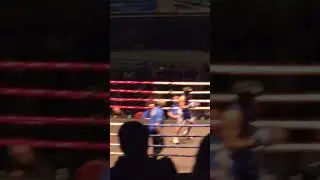 2025 golden gloves boxing 🥊