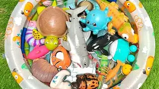 ocean Friends & Bug Buddies | A Colorful Nature Sea Life & Busy Bugs for Kids