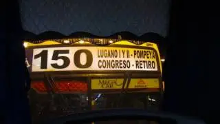 Los Delfines de Miami -MMCE-