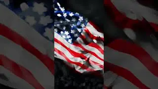 AQSH elchihonasida qanday savollar beriladi? #amerika#usa#aqsh#visa#viza#greencard#grinkarta