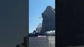 Ever wondered why there are four massive lions lounging around Nelson&rsquo;s Column in Trafalgar Square?