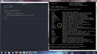 What is a Ruby Gem?