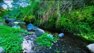 Nature&rsquo;s Calm River &ndash; 10 Hours of ASMR for Anxiety, Focus & Sleep