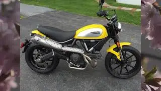 Desmoheart - TERMIGNONI Ducati Scrambler 800 Full High-Mount Exhaust System (racing)