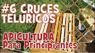 🐝 🐝 Cruces Telúricos en apicultura. Radiestesia