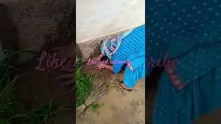 Village women 🤕🤕 #bollywood #music #hindisong #song #farming