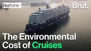 The Environmental Cost of Cruise Ships