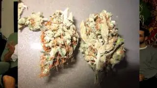 The Higher Channel - Casey Jones - Blunt Review - 215 Kush Collective - TheHigherChannel
