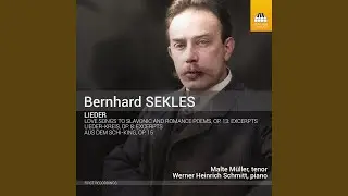 Aus dem Schi-king, Op. 15: No. 1, Der Einzige