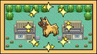 3rd Uncatchable Shiny Pooch at 16,704 SRs for Starter [Sapphire]