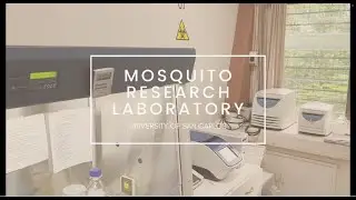 Mosquito Research Laboratory