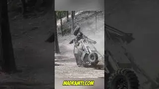 UTVs VS TREES