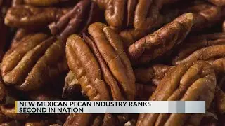 New Mexico pecan industry ranks second in nation