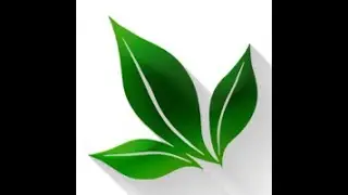 Vital Product!