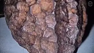 Wolfsegg Iron: The Cube That Shouldn&rsquo;t Exist