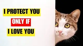 8 EXTRAORDINARY reasons why your cat will only PROTECT you if they LOVE YOU