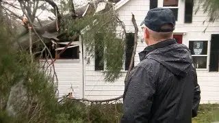 Powerful winds snap trees across northeastern Mass.