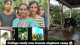 Study tour in my college (1 day trip) 😌💃🏻#konnielephantcamp #dailyvlog #viralvideo #trip 