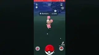 Shiny Buneary Pokemon Go