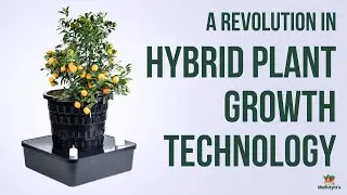 Terrapod: A Revolution in Hybrid Plant Growth Technology