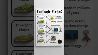 Tectonic Plates #india #geography #gk  #geology #earth #facts #nvs #kvs #ssc #education #shorts