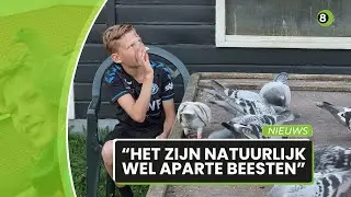 Dani van Lier (11) uit Halle na drie wedstrijden al kampioen met zijn duiven