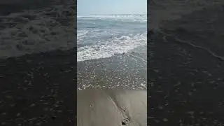 🏝️ Playa Pasamayito II #family #peru #playa #shorts #viral #video #iphone