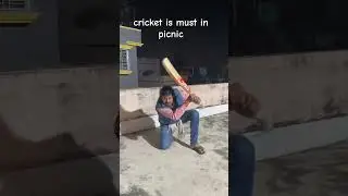 Cricket is mandatory in picnic  #viral #funny #cricket