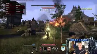 ESO PVP Zerg Mower Build (DW Stam NB)