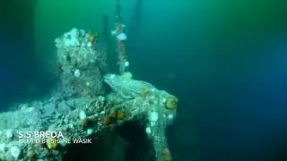 SS Breda Shipwreck Underwater Footage