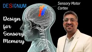 Sensory Memory: design for better User Experience through Proven Techniques and Best Practices