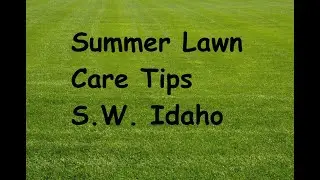 Summer Lawn Care Tips S W  Idaho