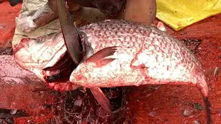 I never seen ll amazing big Katla fish cutting live skills by expert fish cutter in Fishmarket 