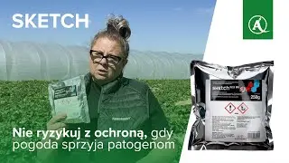 SKETCH ❗ Nie ryzykuj z ochroną, gdy pogoda sprzyja patogenom