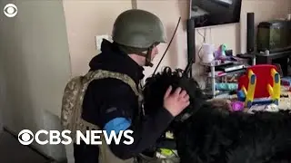 Ukrainian soldier takes in an abandoned dog from Kyiv