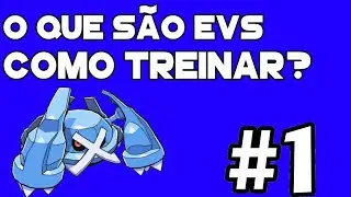 O QUE S&Atilde;O EVS E COMO TREINAR?