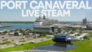 LIVE 🔴 Port Canaveral Major Update with The Cruise Junkie!
