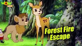Dangerous Jungle Survival Adventure | Simba Mystery Compilation | Wow Kahani #OTM