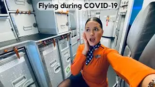 Flying During COVID-19 | Flight Attendant Life