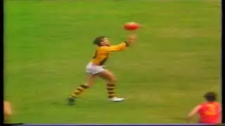 1981 State Game Western Australia 21.30 156 d South Australia 10.9 69