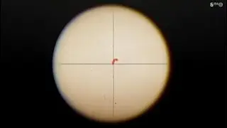 RDR2-Colter 🫎 Moose Hunting