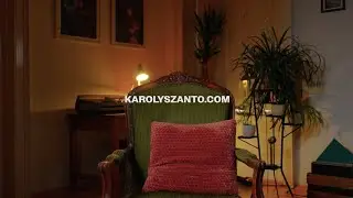 Karoly Szanto The Venture Skipper