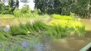 Episod 1.lebaran sepi ngubah nyaring ikan